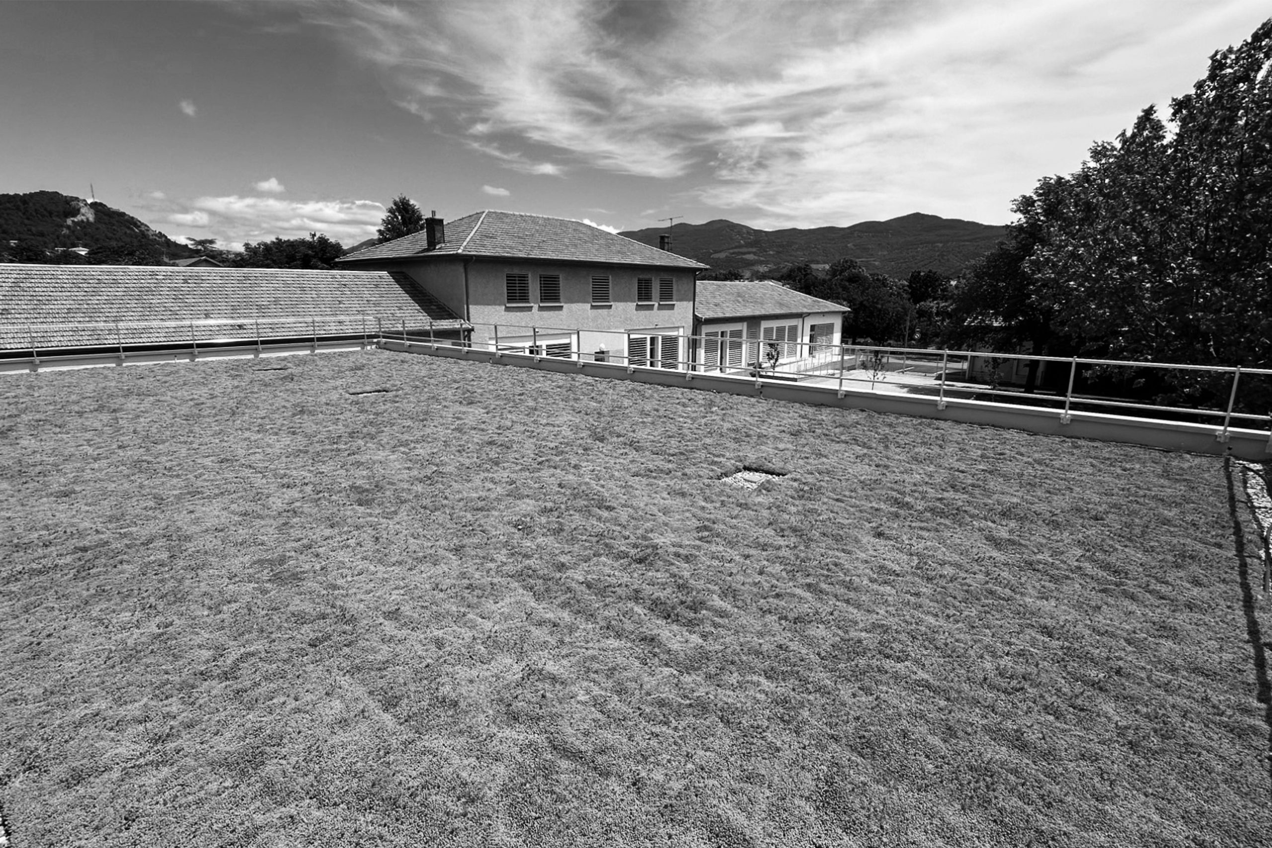 Toiture végétalisée