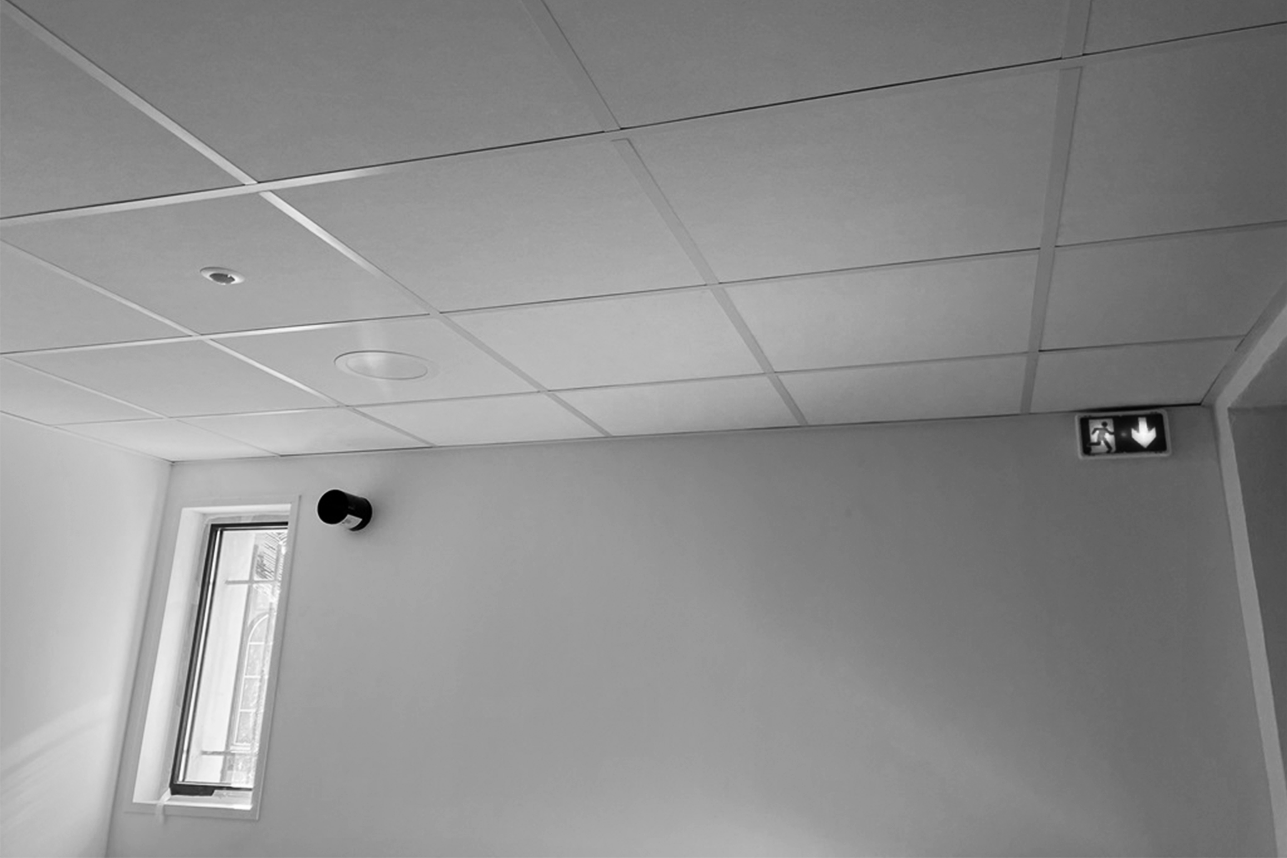 Plafond Gymnase grabinski